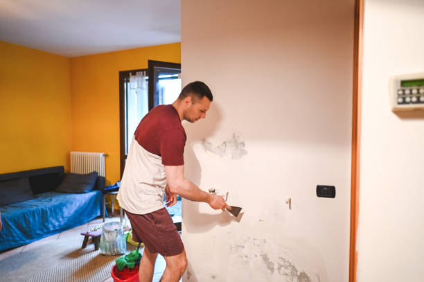 Staunton, VA Mold Remediation Company